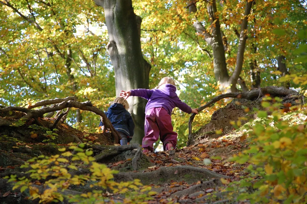zwei Kinder klettern einen Abhang im Wald hinauf